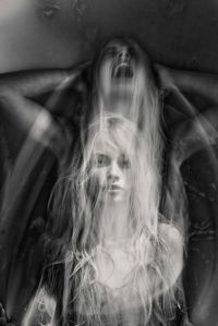 41aea5609e8c07802117fc6f256f4e53