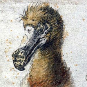 5f087f60f4a68c95b749d41ad53beae7