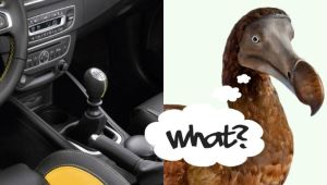 b2da3178e4c772ffc791c33728528834