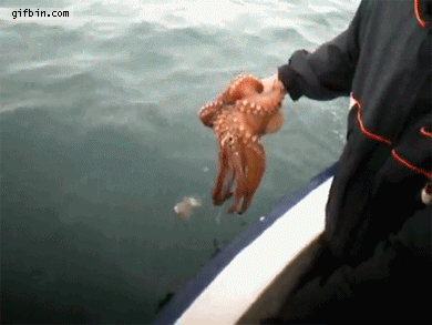 18a0a27d3e40f11e02e7b0d13ad6804e