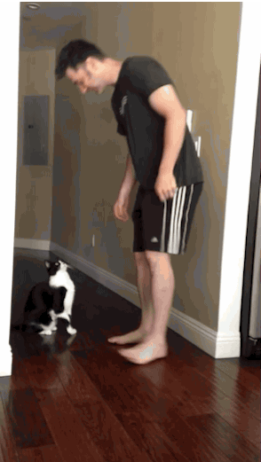 54e1f919115f2e898843d75c221ed825